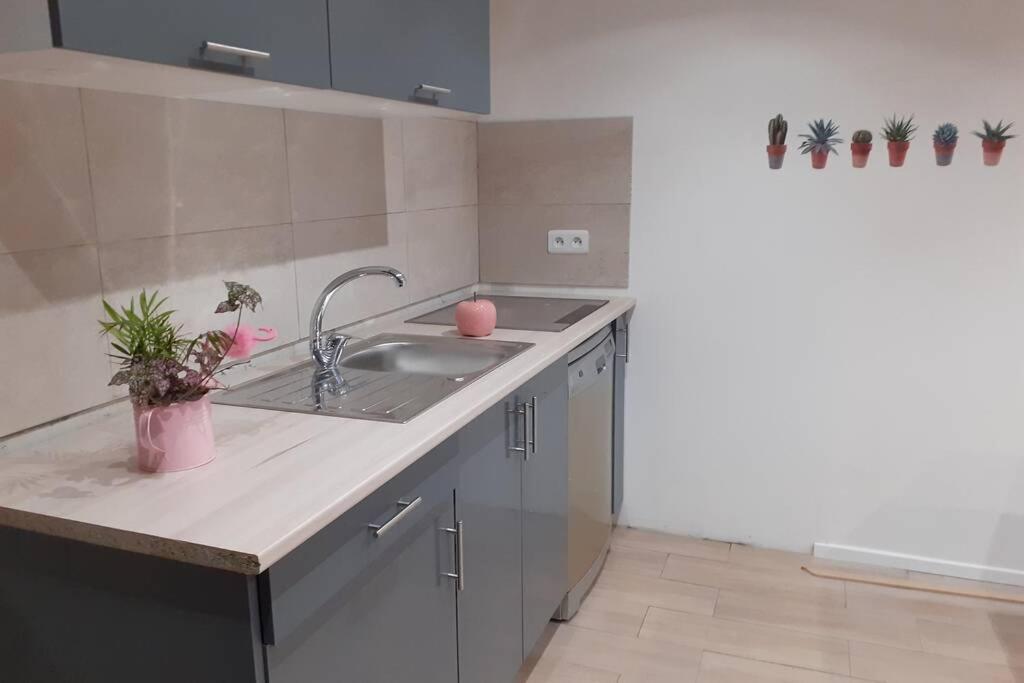 Appartement 3 Pieces Dans Villa Individuelle Falicon 외부 사진